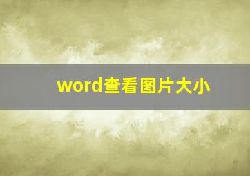 word查看图片大小