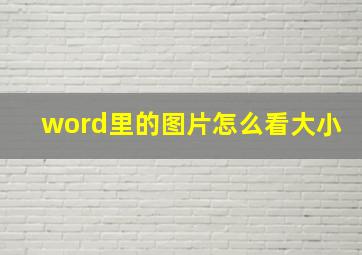 word里的图片怎么看大小