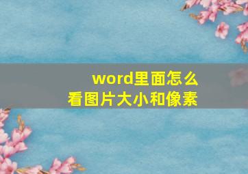 word里面怎么看图片大小和像素