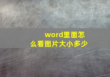 word里面怎么看图片大小多少