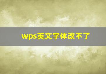 wps英文字体改不了