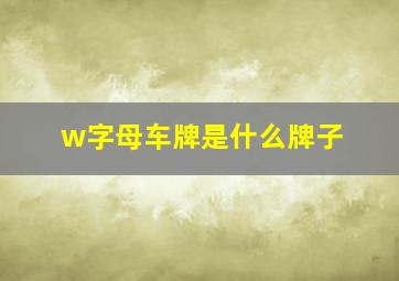 w字母车牌是什么牌子