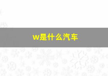 w是什么汽车