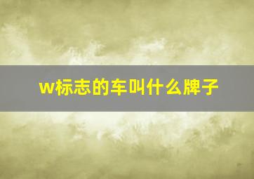 w标志的车叫什么牌子