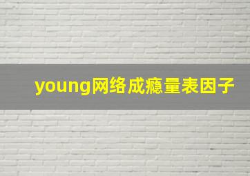 young网络成瘾量表因子