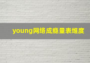 young网络成瘾量表维度