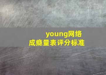 young网络成瘾量表评分标准