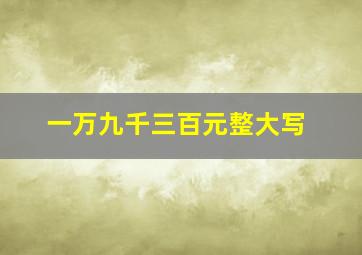 一万九千三百元整大写