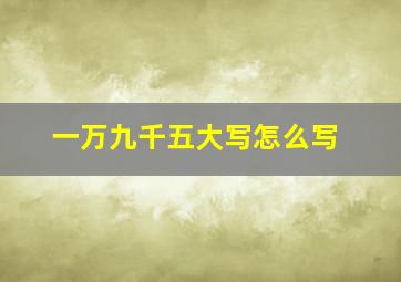 一万九千五大写怎么写