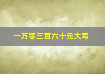 一万零三百六十元大写