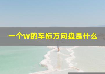 一个w的车标方向盘是什么