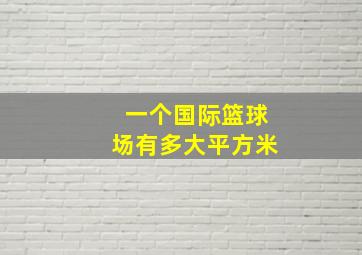 一个国际篮球场有多大平方米