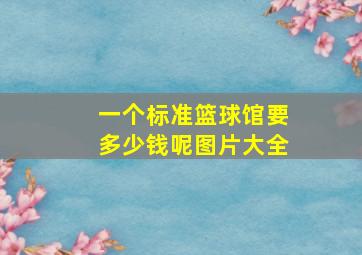 一个标准篮球馆要多少钱呢图片大全