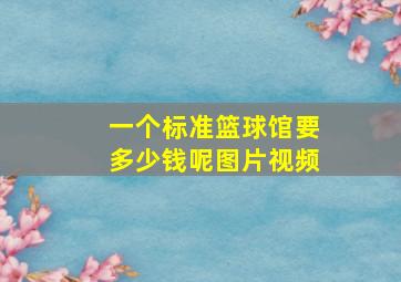 一个标准篮球馆要多少钱呢图片视频