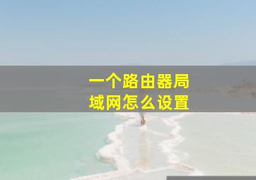 一个路由器局域网怎么设置