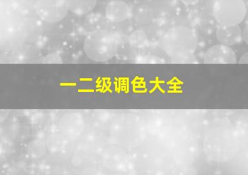 一二级调色大全