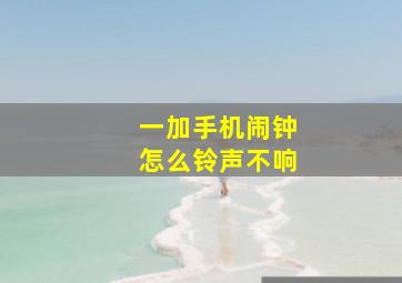 一加手机闹钟怎么铃声不响