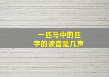 一匹马中的匹字的读音是几声