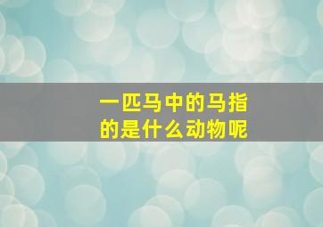 一匹马中的马指的是什么动物呢