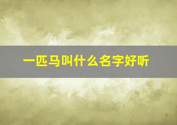 一匹马叫什么名字好听