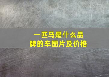 一匹马是什么品牌的车图片及价格