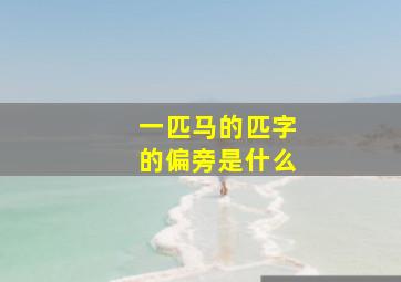 一匹马的匹字的偏旁是什么