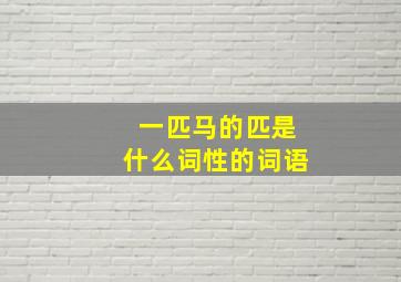 一匹马的匹是什么词性的词语