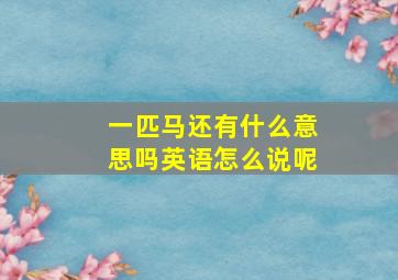 一匹马还有什么意思吗英语怎么说呢