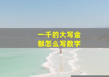 一千的大写金额怎么写数字