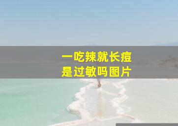 一吃辣就长痘是过敏吗图片