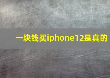 一块钱买iphone12是真的