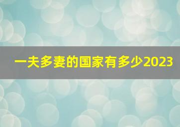 一夫多妻的国家有多少2023