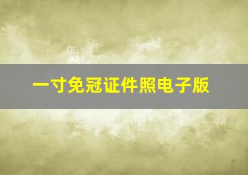 一寸免冠证件照电子版