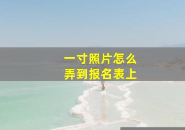 一寸照片怎么弄到报名表上