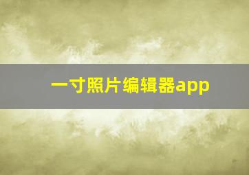 一寸照片编辑器app