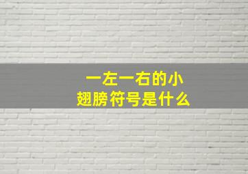 一左一右的小翅膀符号是什么