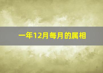 一年12月每月的属相