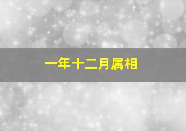 一年十二月属相