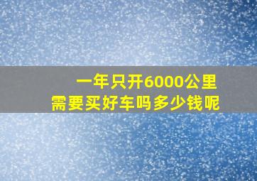 一年只开6000公里需要买好车吗多少钱呢