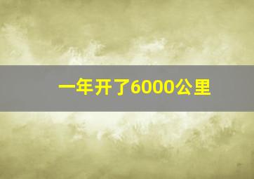 一年开了6000公里