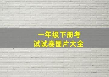 一年级下册考试试卷图片大全