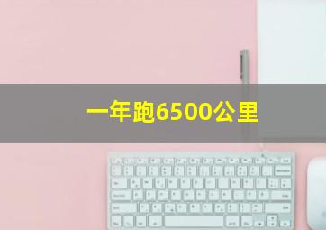 一年跑6500公里