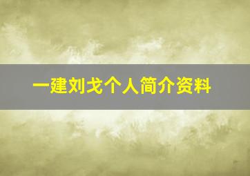 一建刘戈个人简介资料