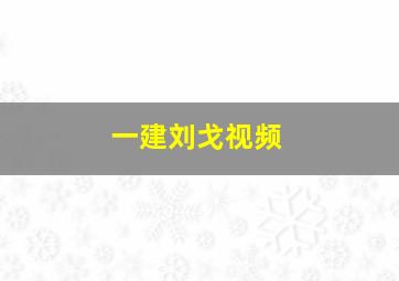 一建刘戈视频