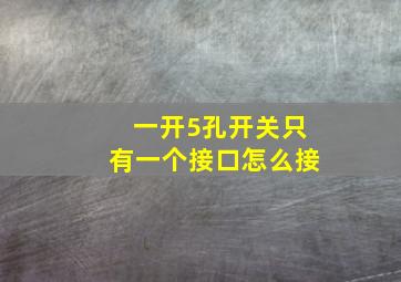 一开5孔开关只有一个接口怎么接