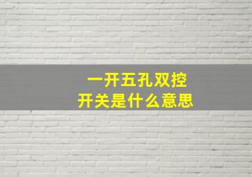 一开五孔双控开关是什么意思