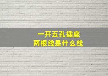 一开五孔插座两根线是什么线