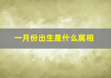 一月份出生是什么属相