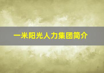 一米阳光人力集团简介