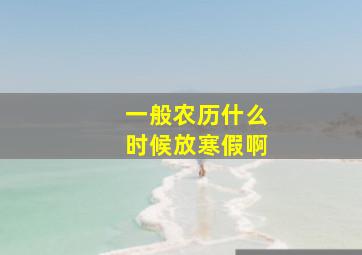 一般农历什么时候放寒假啊